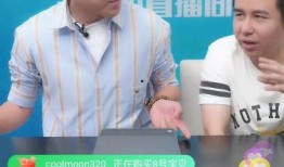 王岩直播爆料事件视频在线观看,揭秘幕后真相，视频在线观看解析